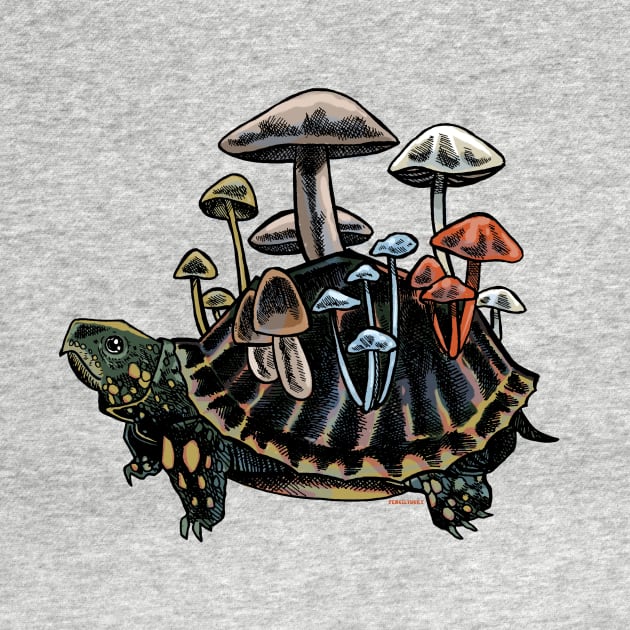 Mushroom Turtle by Penciltucky